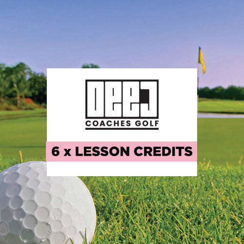 6  x 30 MINUTE LESSONS
